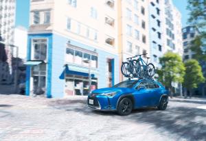 2020 Lexus UX200 Blue Edition